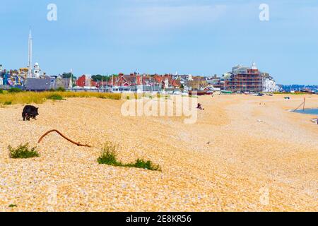 View of Deal beach at nice summer day.Deal's current pier is the last remaining fully intact leisure pier in Kent and is a Grade II listed building.UK Stock Photo