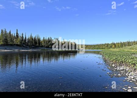 Northern river landscape on a summer sunny day. A river in the Virgin Komi forests. Stock Photo