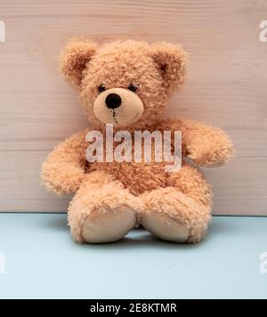Teddy bear sitting on pastel blue floor, wooden wall background, Child room interior, kid alone concept Stock Photo