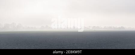 Panorama of a distant row of trees in the Dutch countryside, which is barely visible through the fog. Stock Photo