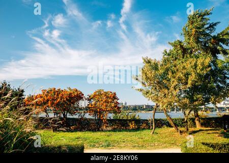 Jamsil Hangang river park in Seoul, korea Stock Photo