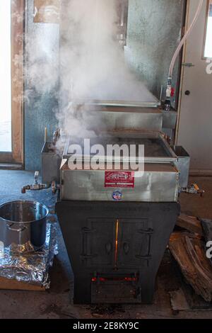 New Hampshire, Bartlett School maple sugar house, Stock Photo