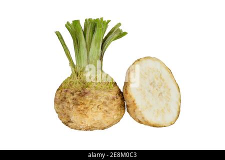 fresh organic celeriac celery root isolated on white background Stock Photo