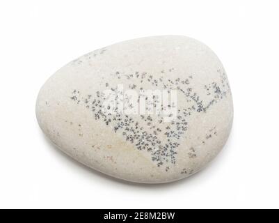 Pebble. Smooth gray sea stone isolated on white background Stock Photo