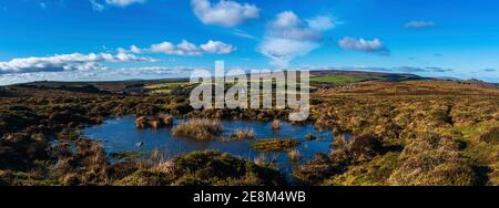 Haytor Rocks, Dartmoor Park, Devon, England, Europe Stock Photo