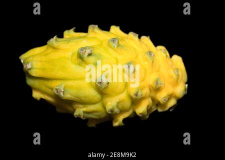 Yellow Pitaya Stock Photo