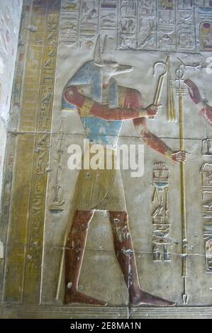 Ancient Egyptian bas relief of the jackal headed god Anubis. Abydos Temple near el Balyana, Egypt. Ancient carving, on public display over 1000 years. Stock Photo