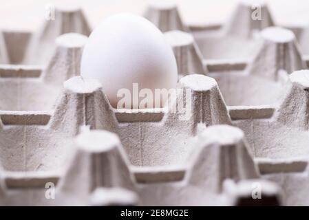 Raw egg carton box with one egg close-up. Gray egg carton. Waste paper container for packing raw eggs. Packing material. Egg box. Stock Photo