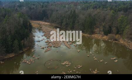 Pond in autumn, aerial view of lake and woods in Europe Stock Photo