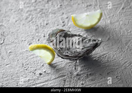 An oyster and two lemon slices on a gray concrete background Stock Photo
