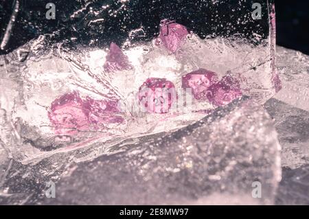 Image of a set of rpg dice behind a sheet of ice in the sun light. Focused on the 20 sided die and the sheet of ice Stock Photo