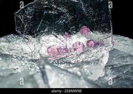 Image of a set of rpg dice behind a sheet of ice in the sun light. Focused on the 20 sided die and the sheet of ice Stock Photo