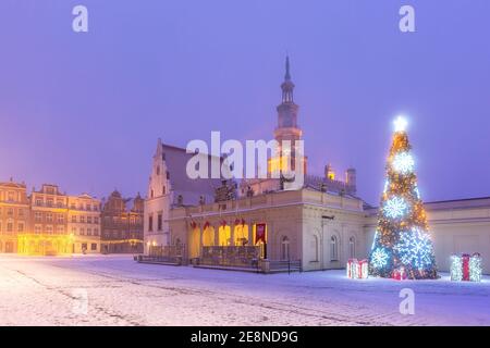 Poznan Town Hall and Christmas tree on Old Market Square in Old Town in the snowy night, Poznan, Poland Stock Photo