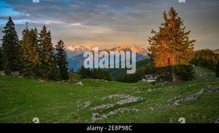 Kohler Alm mountain hut near Inzell, with Sonntagshorn and Loferer Steinberge at sunrise, Chiemgau alps, Bavaria Stock Photo