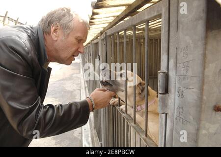 French actor Yves Renier visits a SPA refuge, to give his support to the association protecting animals rights, in Gennevilliers, near Paris, France on September 27, 2007. Photo by Giancarlo Gorassini/ABACAPRESS.COM Stock Photo