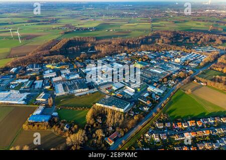 , Aerial view, Westerhaar industrial estate, forest shores, clear-cutting and spruce felling, Werl, Sauerland, North Rhine-Westphalia, Germany, DE, Eu Stock Photo
