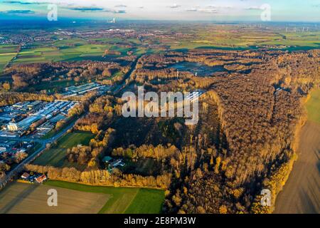 Aerial photograph, Westerhaar industrial estate, TÜV NORD test centre Wickede Werl, forest damage, clear-cutting and spruce felling, Werl, Sauerland, Stock Photo