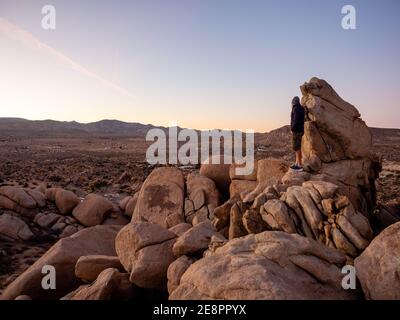 Panorama of man hiking among field of boulders at dusk with sunset sky  Yucca Valley, California near Joshua Tree National Park on a sunny January day Stock Photo