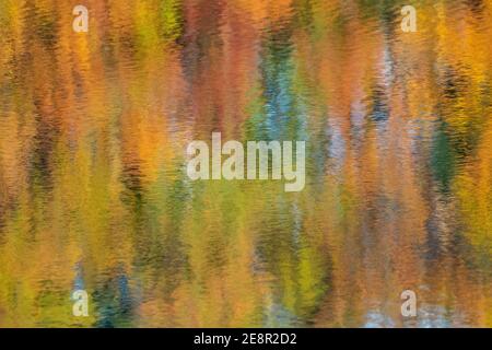 Fall foliage reflected on the water in an abstract pattern. Stock Photo