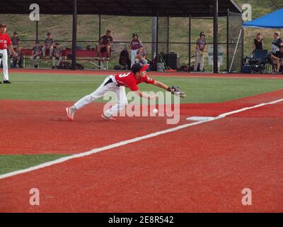 Youth baseball player attempting to catch a ground ball in a local baseball game while others watch the action on a New Jersey field. Stock Photo