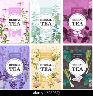 Collection of spices and meadow flowers for organic tea colored cards with title vector illustration Stock Vector