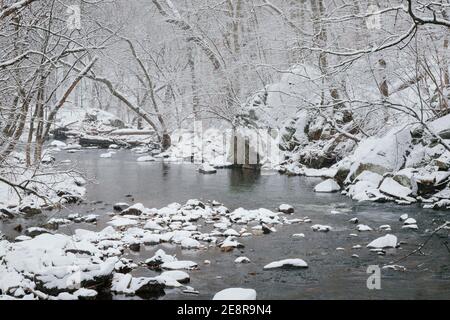 View of Rock Creek in Washington, DC, with snow-covered boulders and trees. Stock Photo