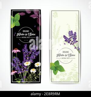 Card with organic herbs and blooming flowers and spices on black and white background vector illustration Stock Vector
