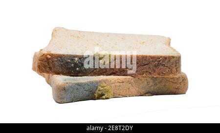 slice of white breads with mold isolated on white background with path. Stock Photo