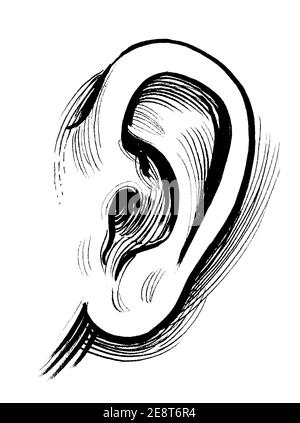 Ear - Drawing Demonstration | Anthony J. Ryder
