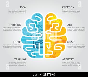 Brain function concept with left intellectual and right emotional hemispheres flat vector illustration Stock Vector