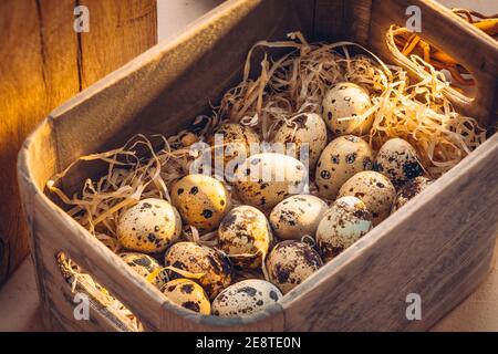 Quail eggs in a wooden box Stock Photo