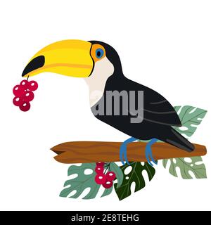 Cute cartoon toucan bird on branch. Vector stock illustration for invitations, card, poster. Summer exotic print. Tropical toucan icon with floral Stock Vector