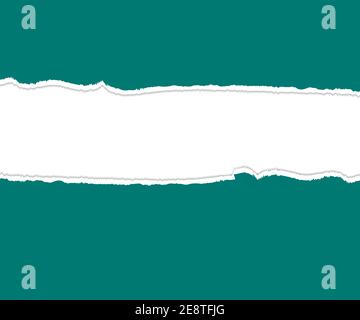 Ripped paper. Torn ripped pieces Vector Stock Vector