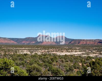 Bears Ears Buttes in Bears Ears National Monument Utah as seen from Natural Bridges National Monument on a clear fall day. Stock Photo