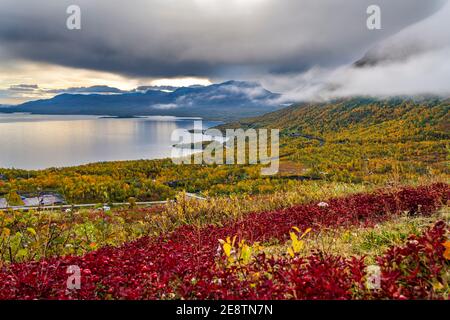 View over Lapporten and Lake Torneträsk from Björkliden i autumn season with colorfull trees and red berries, Kiruna county, Swedish Lapland, Sweden Stock Photo