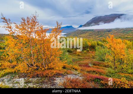 View over Lapporten and Lake Torneträsk from Björkliden i autumn season with colorfull trees and red berries, Kiruna county, Swedish Lapland, Sweden Stock Photo