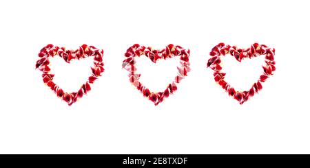 Flower petals hearts isolated on white. Stock Photo