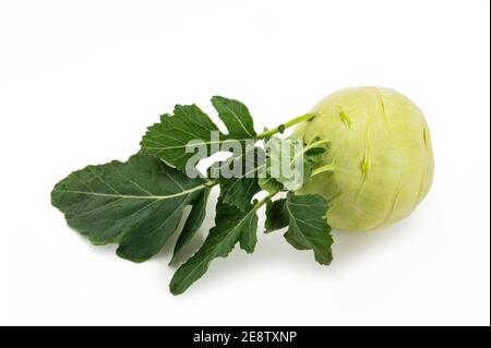 Fresh Cabbage turnip isolated on white background Stock Photo