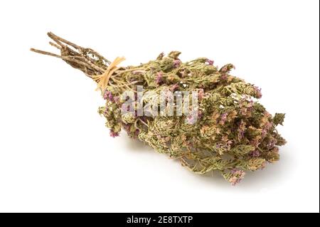 Dried thyme with flowers isolated on white Stock Photo