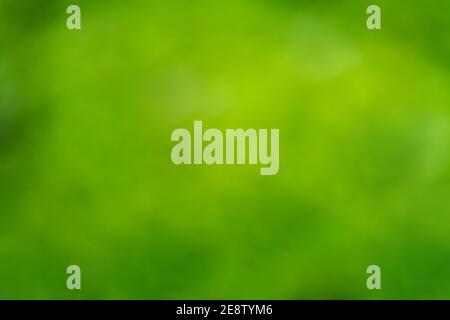 Green Blurred Texture and Background Stock Photo