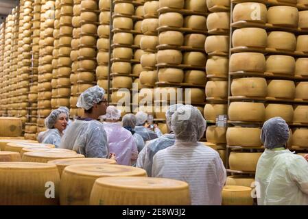 Parmesan cheese storage in Reggio Emilia, Italy Stock Photo - Alamy