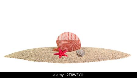 Housing of a red scallop shell in the sand against a white background Stock Photo
