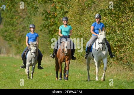 Three riders (13, 14, 29 years) hacking out in late summer Stock Photo