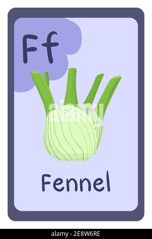 Alphabet education flash card, Letter F - fennel. Colorful abc education card. School, education, study, learning concept. Stock Vector