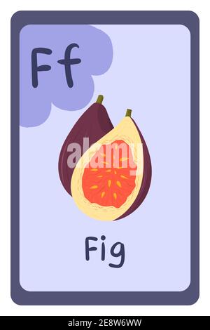 Flashcard letter P is for purple Stock Vector Image & Art - Alamy