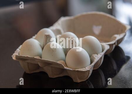 Box of six eggs Stock Photo