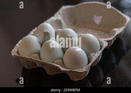 Box of six eggs Stock Photo