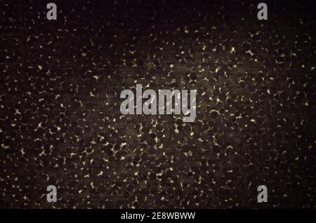Polystyrene foam close-up. Bubbles Styrofoam texture background. Stock Photo