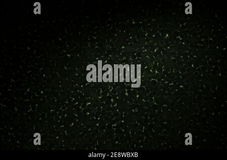 Polystyrene foam close-up. Bubbles Styrofoam texture background. Black background. Stock Photo