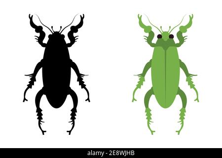 A vector illustration of an amazing jewel beetle. Stock Vector